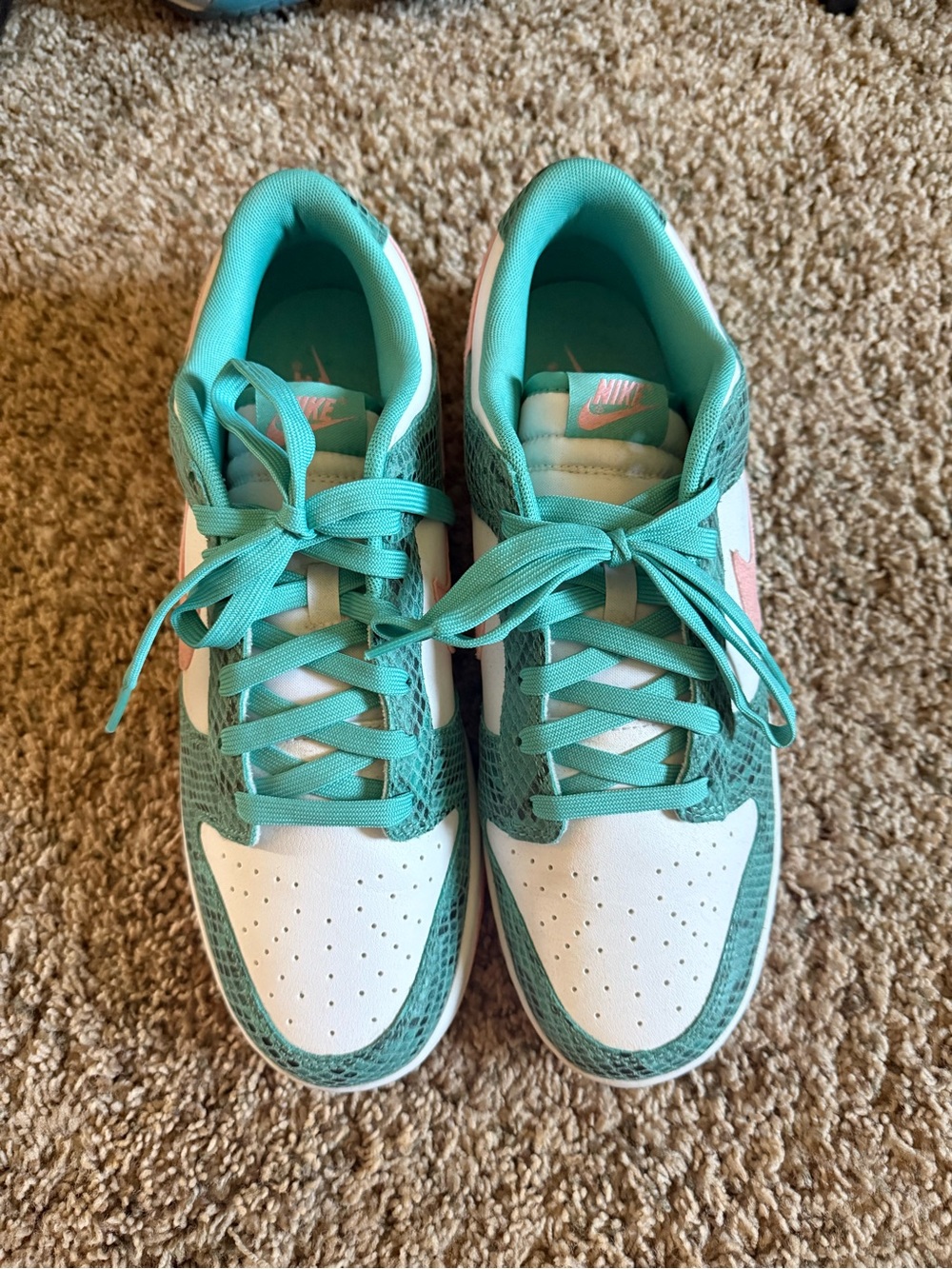 Nike Dunks